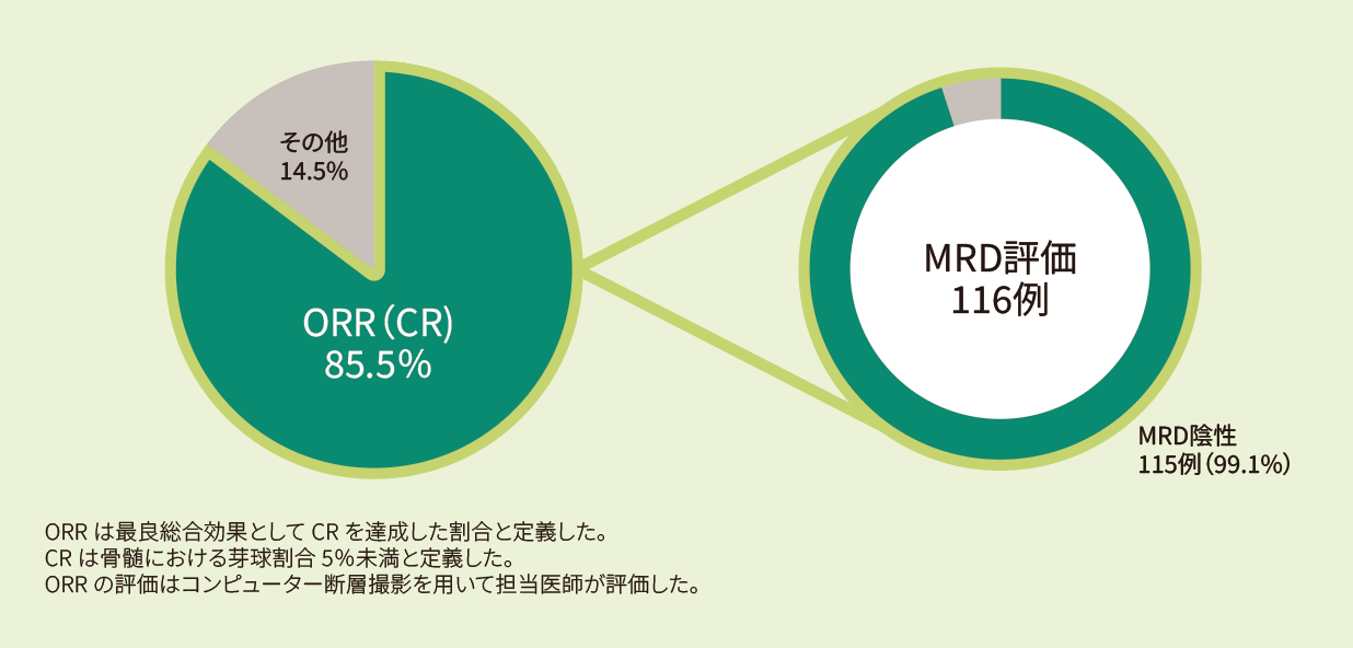 zu_cibmtr17.png